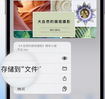 江苏apple维修中心分享iPhone文件应用中存储和找到下载文件