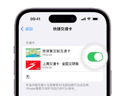 江苏apple维修点分享iPhone上更换Apple Pay快捷交通卡手绘卡面 