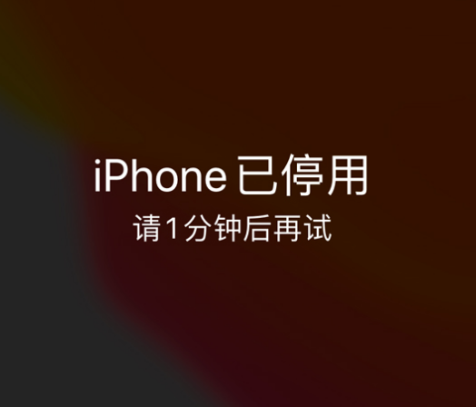 江苏苹果手机维修分享:iPhone 显示“不可用”或“已停用”怎么办？还能保留数据吗？ 