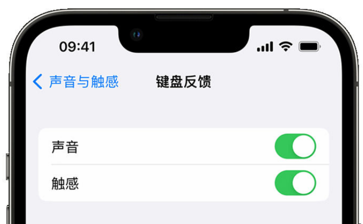 江苏苹果手机维修分享iPhone 14触感键盘使用方法 