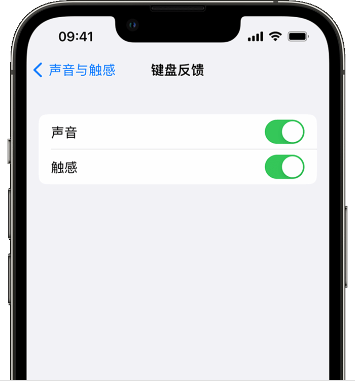 江苏苹果14维修店分享如何在 iPhone 14 机型中使用触感键盘 