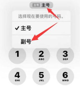 江苏苹果14维修店分享iPhone 14 Pro Max使用副卡打电话的方法 