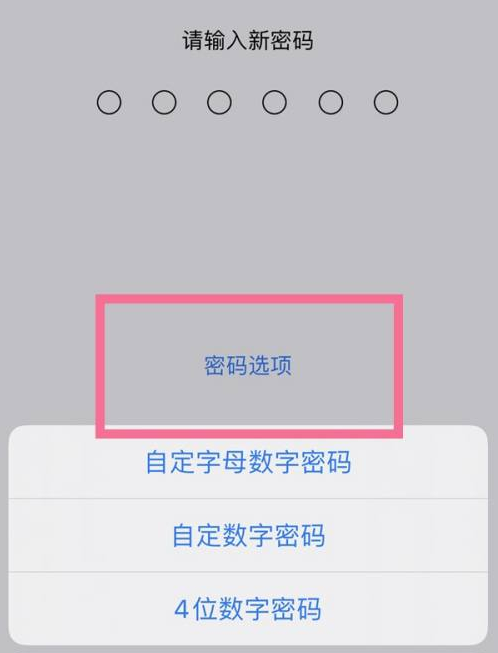 江苏苹果14维修分享iPhone 14plus设置密码的方法 