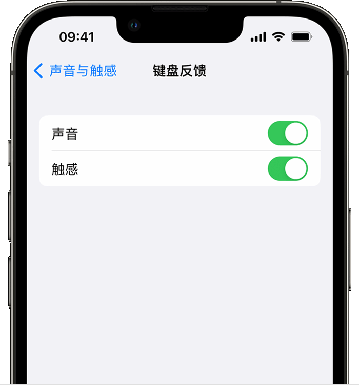 江苏苹果14维修分享iPhone 14 系列机型如何开启键盘声音或触感反馈 