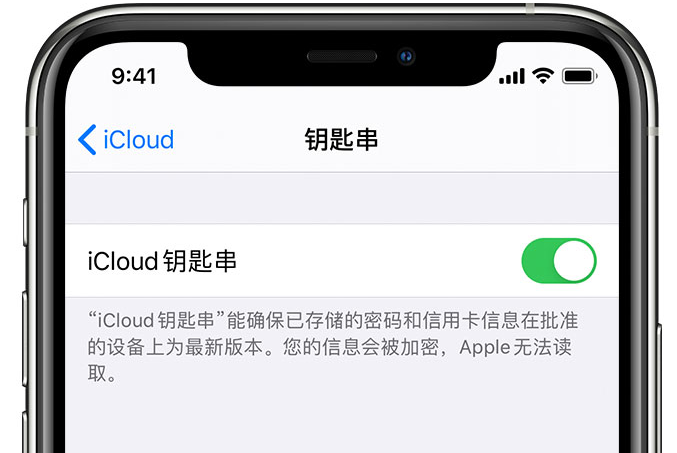 江苏苹果手机维修分享在 iPhone 上开启 iCloud 钥匙串之后会储存哪些信息 