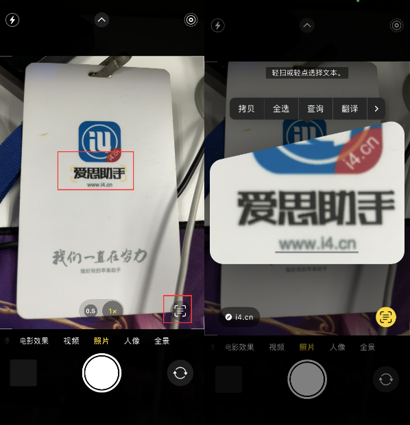 江苏苹果手机维修分享升级iOS 16后如何通过相机翻译文本 