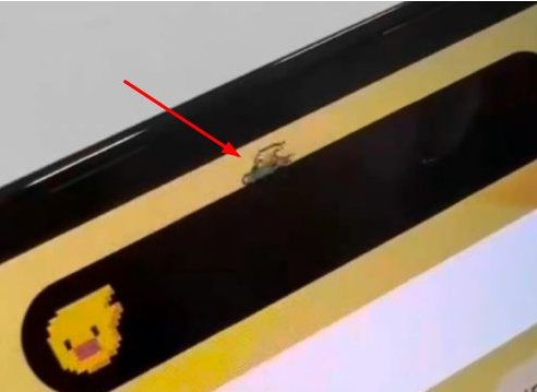 江苏苹果14维修分享iPhone 14 Pro Max灵动岛怎么养宠物 