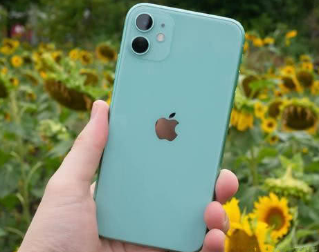 江苏苹果维修点分享iPhone 11锁屏密码认知与使用科普 