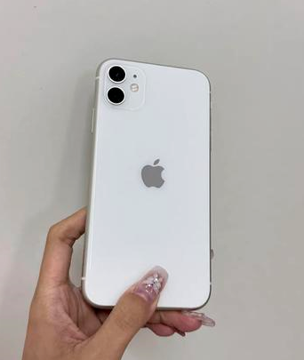 江苏苹果维修点分享iPhone 11黑屏特殊场景解析 